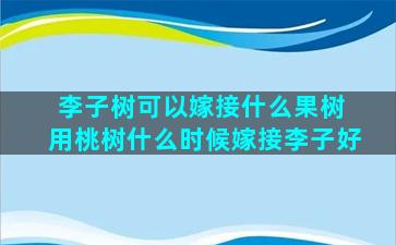 李子树可以嫁接什么果树 用桃树什么时候嫁接李子好